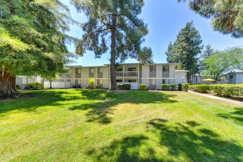 Exterior of the buildings with large green lawn area and mature trees all around